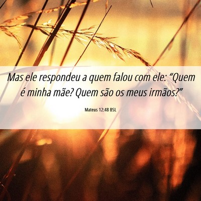 Picture 06 - Mateus 12:48 BSL - Mas ele respondeu a quem falou com ele: “Quem - Bible Verse Picture