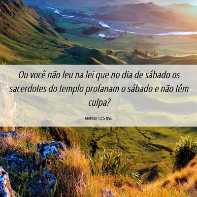 Picture 06 - Mateus 12:5 BSL - Ou você não leu na lei que no dia de sábado os - Bible Verse Picture