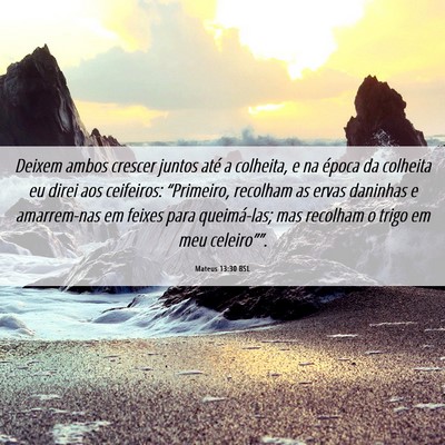 Picture 06 - Mateus 13:30 BSL - Deixem ambos crescer juntos até a colheita, e na - Bible Verse Picture