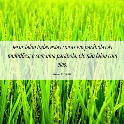 Picture 06 - Mateus 13:34 BSL - Jesus falou todas estas coisas em parábolas às - Bible Verse Picture