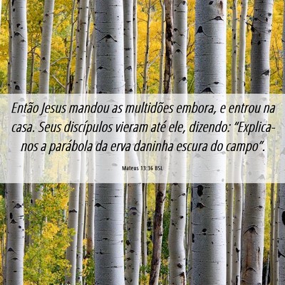 Picture 06 - Mateus 13:36 BSL - Então Jesus mandou as multidões embora, e - Bible Verse Picture