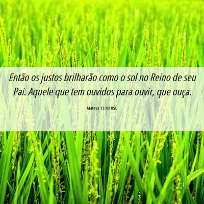 Picture 06 - Mateus 13:43 BSL - Então os justos brilharão como o sol no Reino - Bible Verse Picture