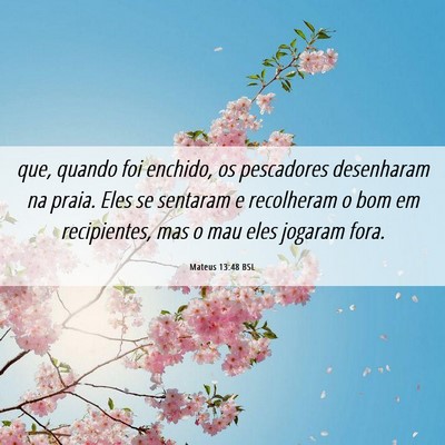 Picture 06 - Mateus 13:48 BSL - que, quando foi enchido, os pescadores desenharam - Bible Verse Picture