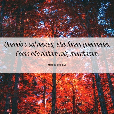 Picture 06 - Mateus 13:6 BSL - Quando o sol nasceu, elas foram queimadas. Como - Bible Verse Picture