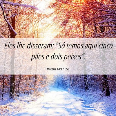 Picture 06 - Mateus 14:17 BSL - Eles lhe disseram: “Só temos aqui cinco pães - Bible Verse Picture