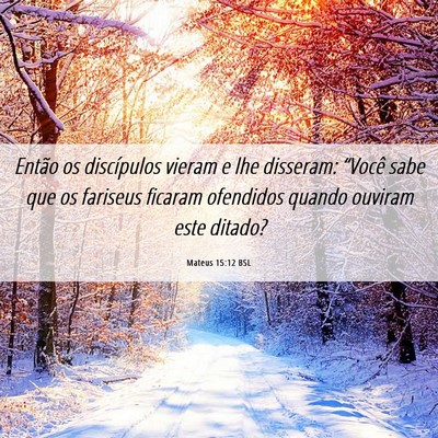 Picture 06 - Mateus 15:12 BSL - Então os discípulos vieram e lhe disseram: - Bible Verse Picture