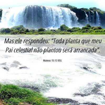 Picture 06 - Mateus 15:13 BSL - Mas ele respondeu: “Toda planta que meu Pai - Bible Verse Picture