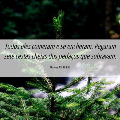 Picture 06 - Mateus 15:37 BSL - Todos eles comeram e se encheram. Pegaram sete - Bible Verse Picture