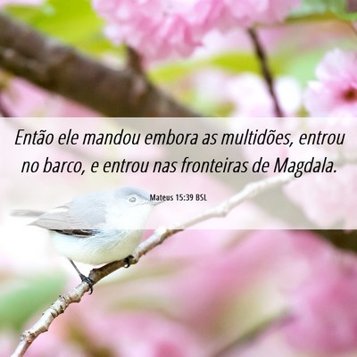 Picture 06 - Mateus 15:39 BSL - Então ele mandou embora as multidões, entrou no - Bible Verse Picture
