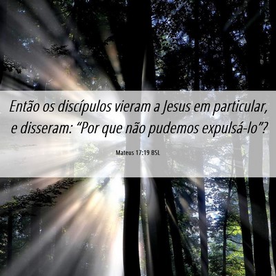 Picture 06 - Mateus 17:19 BSL - Então os discípulos vieram a Jesus em - Bible Verse Picture