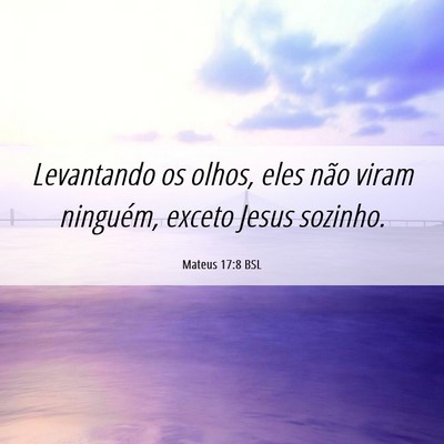 Picture 06 - Mateus 17:8 BSL - Levantando os olhos, eles não viram ninguém, - Bible Verse Picture