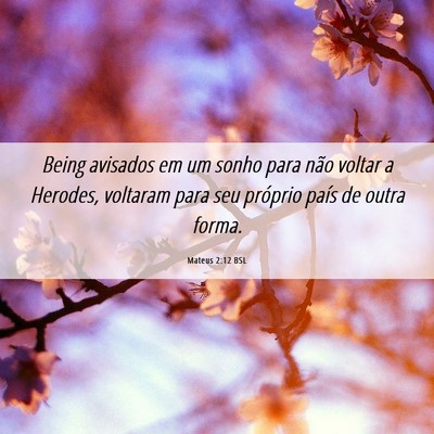 Picture 06 - Mateus 2:12 BSL - Being avisados em um sonho para não voltar a - Bible Verse Picture