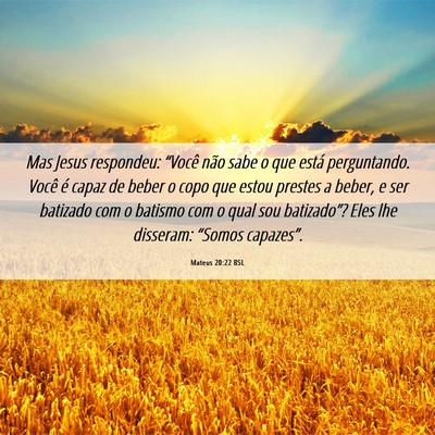 Picture 06 - Mateus 20:22 BSL - Mas Jesus respondeu: “Você não sabe o que - Bible Verse Picture