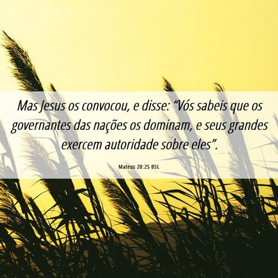 Picture 06 - Mateus 20:25 BSL - Mas Jesus os convocou, e disse: “Vós sabeis - Bible Verse Picture