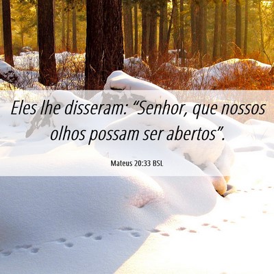 Picture 06 - Mateus 20:33 BSL - Eles lhe disseram: “Senhor, que nossos olhos - Bible Verse Picture