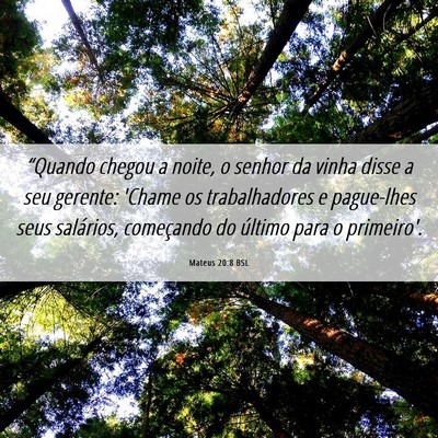 Picture 06 - Mateus 20:8 BSL - “Quando chegou a noite, o senhor da vinha disse - Bible Verse Picture