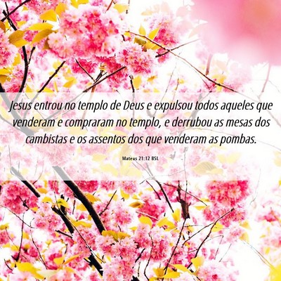 Picture 06 - Mateus 21:12 BSL - Jesus entrou no templo de Deus e expulsou todos - Bible Verse Picture