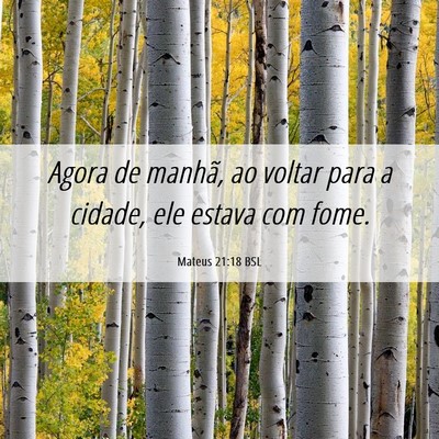 Picture 06 - Mateus 21:18 BSL - Agora de manhã, ao voltar para a cidade, ele - Bible Verse Picture
