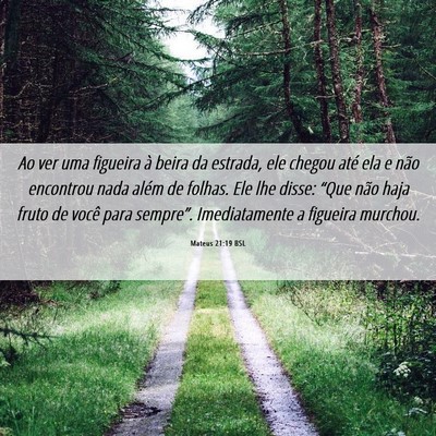 Picture 06 - Mateus 21:19 BSL - Ao ver uma figueira à beira da estrada, ele - Bible Verse Picture
