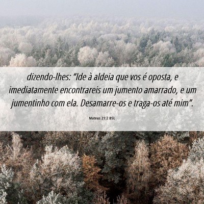 Picture 06 - Mateus 21:2 BSL - dizendo-lhes: “Ide à aldeia que vos é oposta, - Bible Verse Picture