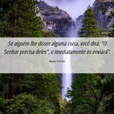 Picture 06 - Mateus 21:3 BSL - Se alguém lhe disser alguma coisa, você dirá: - Bible Verse Picture