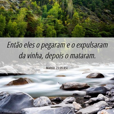 Picture 06 - Mateus 21:39 BSL - Então eles o pegaram e o expulsaram da vinha, - Bible Verse Picture