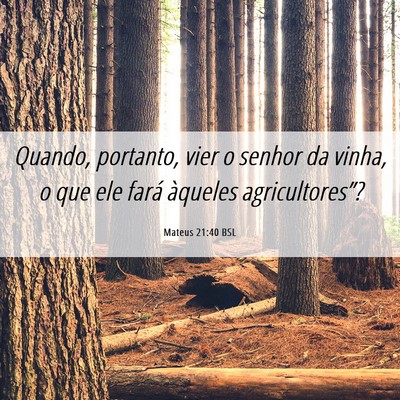 Picture 06 - Mateus 21:40 BSL - Quando, portanto, vier o senhor da vinha, o que - Bible Verse Picture