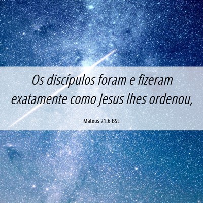 Picture 06 - Mateus 21:6 BSL - Os discípulos foram e fizeram exatamente como - Bible Verse Picture