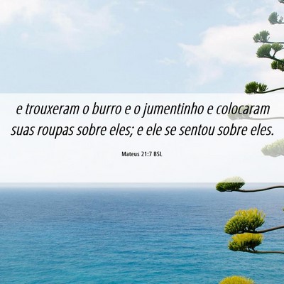 Picture 06 - Mateus 21:7 BSL - e trouxeram o burro e o jumentinho e colocaram - Bible Verse Picture