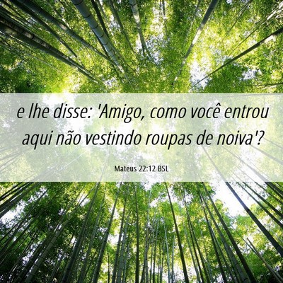 Picture 06 - Mateus 22:12 BSL - e lhe disse: 'Amigo, como você entrou aqui não - Bible Verse Picture