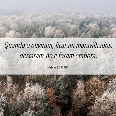Picture 06 - Mateus 22:22 BSL - Quando o ouviram, ficaram maravilhados, - Bible Verse Picture