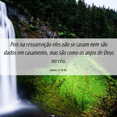 Picture 06 - Mateus 22:30 BSL - Pois na ressurreição eles não se casam nem - Bible Verse Picture