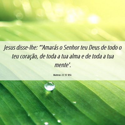 Picture 06 - Mateus 22:37 BSL - Jesus disse-lhe: “'Amarás o Senhor teu Deus de - Bible Verse Picture
