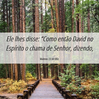 Picture 06 - Mateus 22:43 BSL - Ele lhes disse: “Como então David no Espírito - Bible Verse Picture