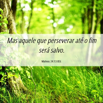 Picture 06 - Mateus 24:13 BSL - Mas aquele que perseverar até o fim será - Bible Verse Picture