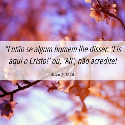 Picture 06 - Mateus 24:23 BSL - “Então se algum homem lhe disser: 'Eis aqui o - Bible Verse Picture