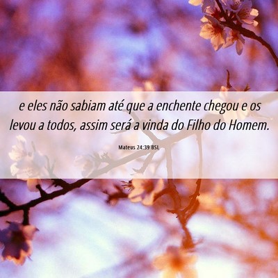 Picture 06 - Mateus 24:39 BSL - e eles não sabiam até que a enchente chegou e - Bible Verse Picture