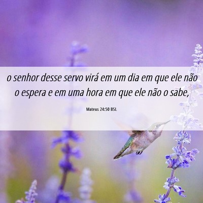 Picture 06 - Mateus 24:50 BSL - o senhor desse servo virá em um dia em que ele - Bible Verse Picture