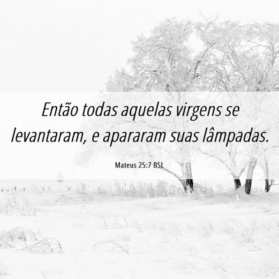Picture 06 - Mateus 25:7 BSL - Então todas aquelas virgens se levantaram, e - Bible Verse Picture