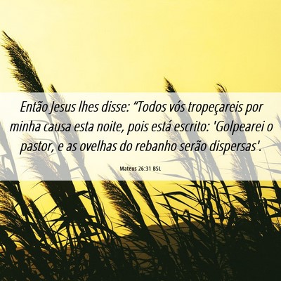 Picture 06 - Mateus 26:31 BSL - Então Jesus lhes disse: “Todos vós - Bible Verse Picture