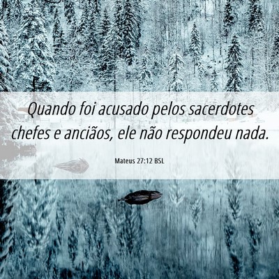 Picture 06 - Mateus 27:12 BSL - Quando foi acusado pelos sacerdotes chefes e - Bible Verse Picture
