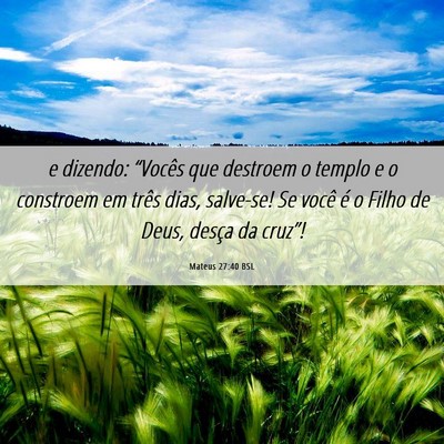 Picture 06 - Mateus 27:40 BSL - e dizendo: “Vocês que destroem o templo e o - Bible Verse Picture
