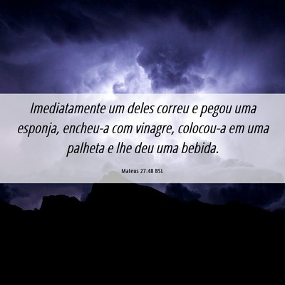Picture 06 - Mateus 27:48 BSL - Imediatamente um deles correu e pegou uma - Bible Verse Picture