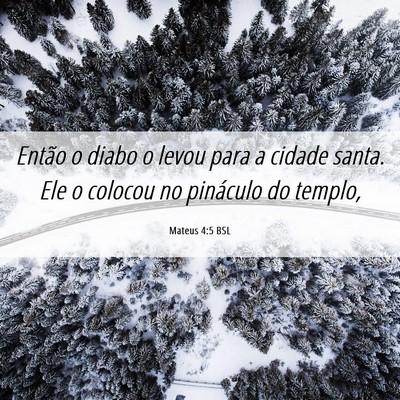 Picture 06 - Mateus 4:5 BSL - Então o diabo o levou para a cidade santa. Ele o - Bible Verse Picture