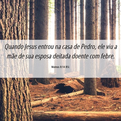 Picture 06 - Mateus 8:14 BSL - Quando Jesus entrou na casa de Pedro, ele viu a - Bible Verse Picture