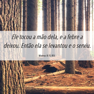 Picture 06 - Mateus 8:15 BSL - Ele tocou a mão dela, e a febre a deixou. Então - Bible Verse Picture