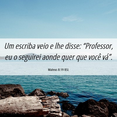 Picture 06 - Mateus 8:19 BSL - Um escriba veio e lhe disse: “Professor, eu o - Bible Verse Picture