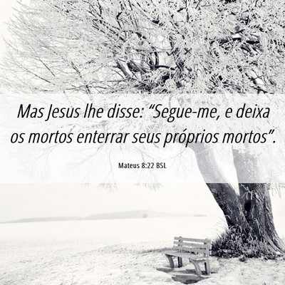 Picture 06 - Mateus 8:22 BSL - Mas Jesus lhe disse: “Segue-me, e deixa os - Bible Verse Picture