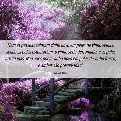 Picture 06 - Mateus 9:17 BSL - Nem as pessoas colocam vinho novo em peles de - Bible Verse Picture