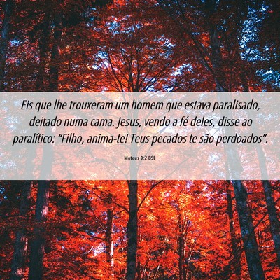 Picture 06 - Mateus 9:2 BSL - Eis que lhe trouxeram um homem que estava - Bible Verse Picture